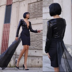 Pul Payet Tül Aksesuarlı Elbise